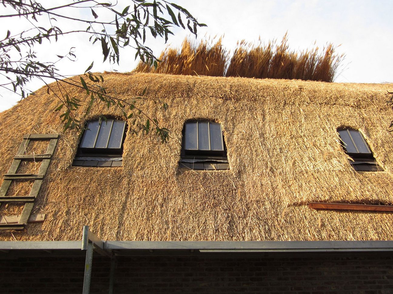 Interner Link zu Historische Fenster Interner Link zu Historische Fenster